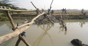 সরকারি খালে বাঁধ দিয়ে মাছ চাষের পায়তারার অভিযোগ