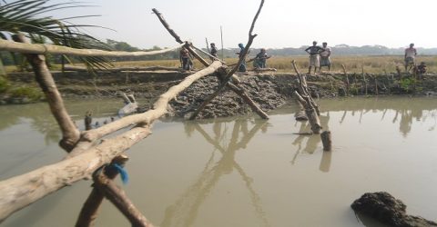 সরকারি খালে বাঁধ দিয়ে মাছ চাষের পায়তারার অভিযোগ