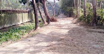 গলাচিপা পৌর ও সদর ইউনিয়নের সীমান্তবর্তী রাস্তা নিয়ে রশি টানাটানি