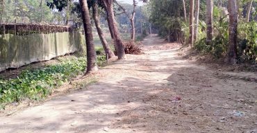 গলাচিপা পৌর ও সদর ইউনিয়নের সীমান্তবর্তী রাস্তা নিয়ে রশি টানাটানি