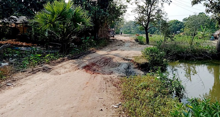 ঝিনাইদহের হরিণাকুন্ডু গাড়াবাড়ীয়া গ্রামের রাস্তার বেহাল দশা