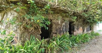 ভুতুরে ঘরে পরিণত হয়েছে গলাচিপার বীজাগারগুলো