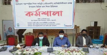 গলাচিপায় পারস্পরিক শিখন এইচএলপির প্রাতিষ্ঠানিককরণ কর্মশালা