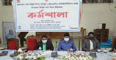 গলাচিপায় পারস্পরিক শিখন এইচএলপির প্রাতিষ্ঠানিককরণ কর্মশালা