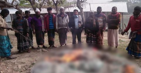 গলাচিপায় পোড়ানো হলো নিষিদ্ধ কারেন্ট জাল