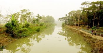 পর্যটনকেন্দ্রের হাতছানি: রাজাপুরের ধানসিঁড়ি খননের উর্বর পলিমাটিতে সবুজের সমারোহ