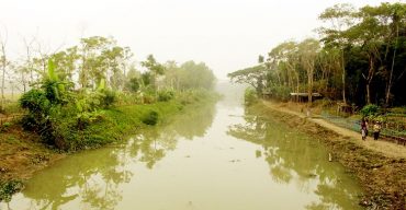 পর্যটনকেন্দ্রের হাতছানি: রাজাপুরের ধানসিঁড়ি খননের উর্বর পলিমাটিতে সবুজের সমারোহ