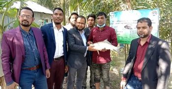 কার্প জাতীয় মাছ চাষে নতুন এক সফলতা ও সম্ভাবনা দ্বার উম্মোচন