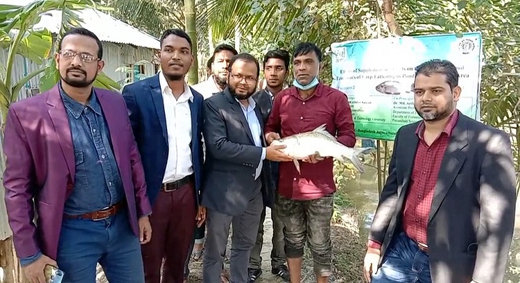 কার্প জাতীয় মাছ চাষে নতুন এক সফলতা ও সম্ভাবনা দ্বার উম্মোচন