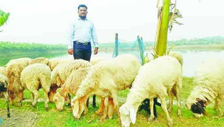 জগন্নাথ বিশ্ববিদ্যালয়ে মাষ্টার্স শেষ করা কালীগঞ্জ নিবাসী যুবকের গাড়ল পালনে ভাগ্য বদল