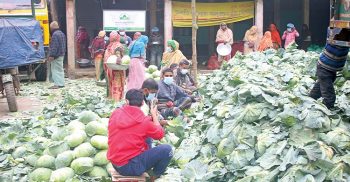 মাসওয়া এগ্রো লিমিটেডের উদ্যোগে রপ্তানি হচ্ছে কৃষিপণ্য