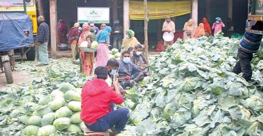 মাসওয়া এগ্রো লিমিটেডের উদ্যোগে রপ্তানি হচ্ছে কৃষিপণ্য
