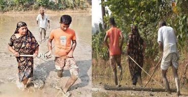 ময়মনসিংহের ভালুকায় স্ত্রী-সন্তানকে দিয়েই মই টানালেন অসহায় কৃষক