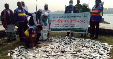 পায়রা বন্দর সংলগ্ন নদী মোহনা থেকে বিপুল পরিমান কারেন্ট জাল ও জাটকা জব্দ