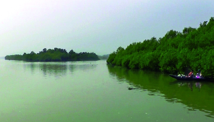 বিষখালি নদীতীরে গড়ে ওঠা ‘‘অপরূপ প্রাকৃতিক সৌন্দর্যের ছৈলার চর’’ মন কাড়ছে ভ্রমন পিপাষুদের