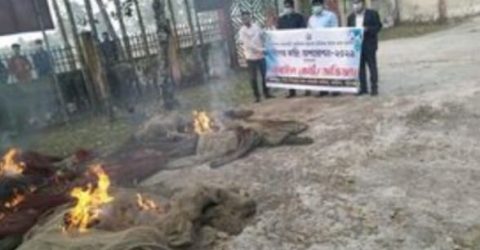 গলাচিপায় কোম্বিং অপারেশনে ৩টি জাল পুরে দিল মৎস্য বিভাগ
