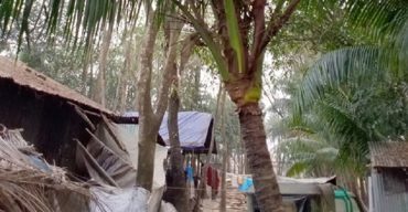 গলাচিপায় ঘরের অভাবে মানবেতর জীবন যাপন করছে কুদ্দুস আকনের পরিবার