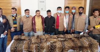 সুন্দরবনে চোরা হরিণ শিকারীরা বেপরোয়া রেডএলার্ট জারি!