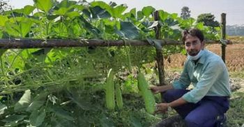 দশমিনায় শীতকালিন সবজির আবাদ বাড়ছে