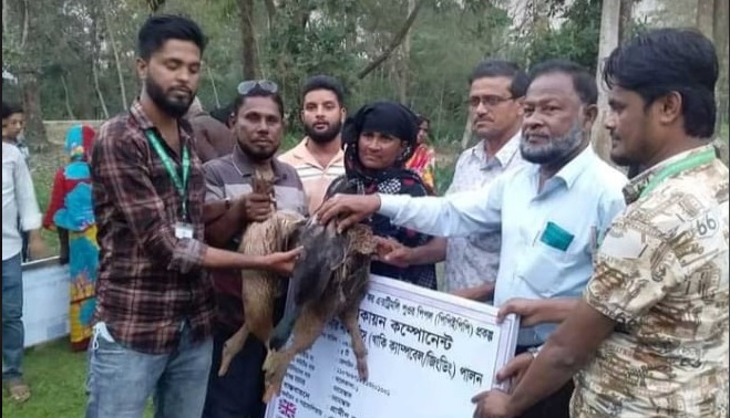 রাঙ্গাবালীতে হতদরিদ্র পরিবারের মাঝে হাঁস মুরগী বিতরণ