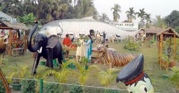 কুয়াকাটার দৃষ্টি নান্দন ইলিশ পার্ক