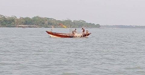 গলাচিপায় নিষেধাজ্ঞা উপেক্ষা করে নদীতে জাটকা শিকার