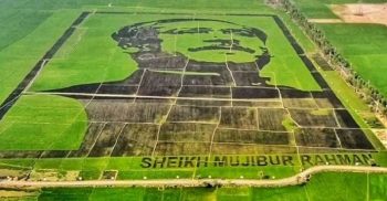 গিনেজ ওয়ার্ল্ড রেকর্ডে স্থান পেল শস্যচিত্রে বঙ্গবন্ধু