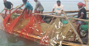 আজ থেকে ৬ জেলায় ২ মাস মাছ ধরা নিষিদ্ধ
