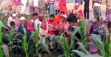 জয়পুরহাটের পাঁচবিবি উপজেলায় ভুট্টাক্ষেত থেকে অজ্ঞাত লাশ উদ্ধার