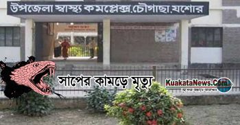 চৌগাছায় সাপের কামড়ে এক ব্যক্তির মৃৃৃত্যু
