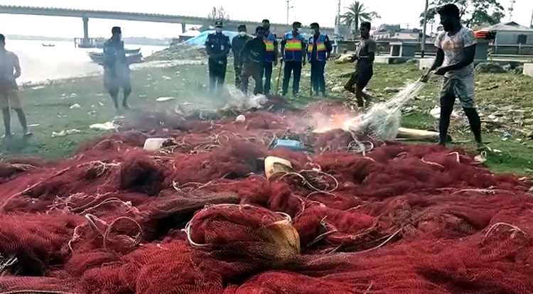 কলাপাড়ায় দুই লাখ মিটার ঘন ফাঁসের অবৈধ জাল ধংস