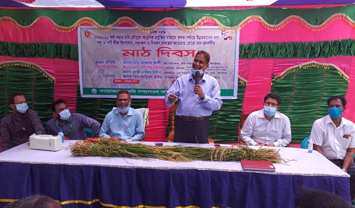 ঝিনাইদহে বোরো ধান প্রদর্শনীর মাঠ দিবস অনুষ্ঠিত
