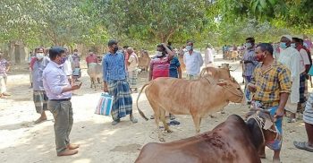 সাপাহারে পশুর হাটে স্বাস্থ্যবিধি নিশ্চিত করতে উপজেলা প্রশাসনে অভিযান