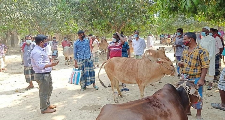 সাপাহারে পশুর হাটে স্বাস্থ্যবিধি নিশ্চিত করতে উপজেলা প্রশাসনে অভিযান
