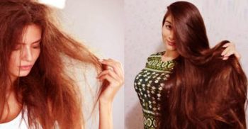 চুলের যত্নে শ্যাম্পুতে মিশিয়ে নিন এই দুটি উপাদান