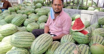 কলাপাড়ায় তরমুজের বাজারে ক্রে’তা সং’ক’ট