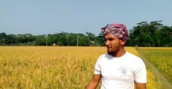 গলাচিপায় কৃষিপ্রযুক্তি ব্যবহার করে সফলতার দুয়ারে কৃষিপ্রেমী পাবেল