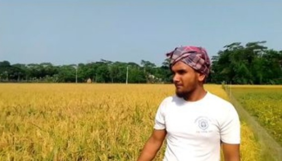 গলাচিপায় কৃষিপ্রযুক্তি ব্যবহার করে সফলতার দুয়ারে কৃষিপ্রেমী পাবেল