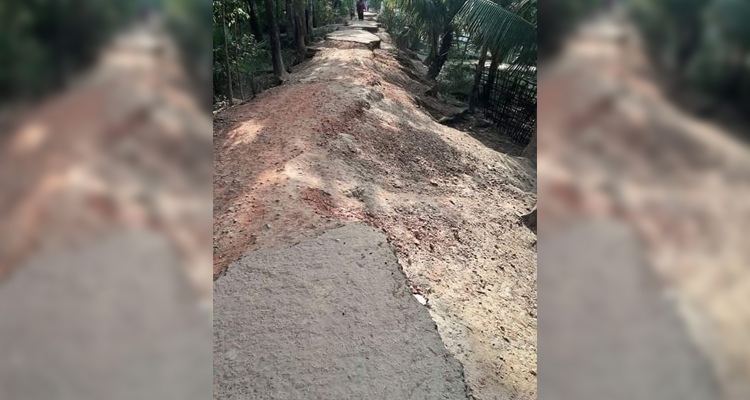 মরণ ফাঁদে পরিনত হয়েছে গলাচিপা’র পানপট্টি সড়ক