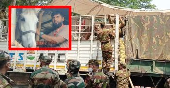 বাংলাদেশ সেনাবাহিনীকে ১৫টি ঘোড়া উপহার দিল ভারত