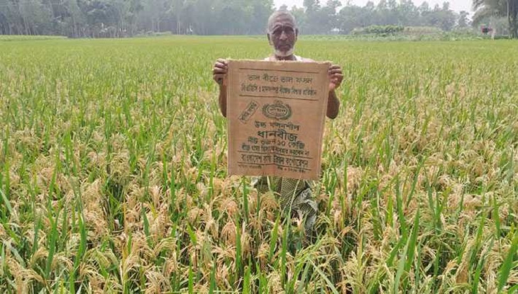 বিএডিসির ধান বীজে কৃষ’কের স্ব’প্নভ’ঙ্গ