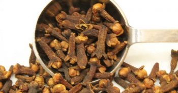 লবঙ্গ চা যে ১০ রোগে ওষুধ হিসাবে কাজ করে