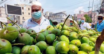 রাজশাহী অ’ঞ্চ’লে আমের কেজি ২ টাকা