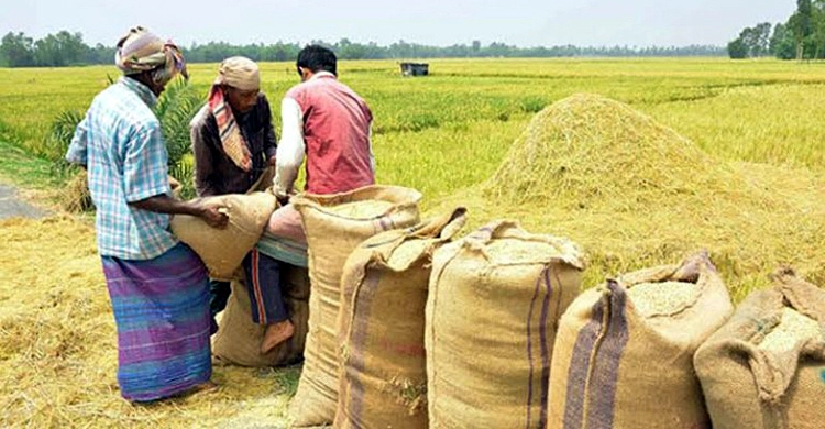 ২৭ টাকা কেজি দরে ধান ৪০ টাকায় চাল কেনার সিদ্ধান্ত