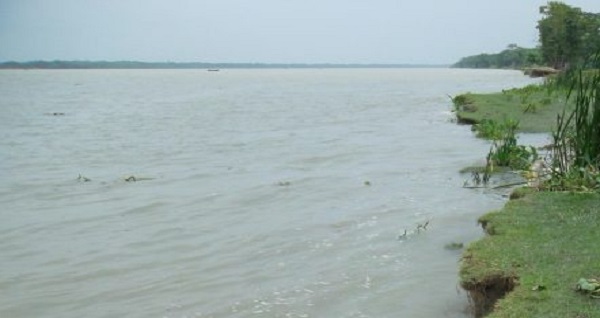 আমতলীর নদ-নদীর পানিতে লবণাক্ততা বৃদ্ধি: মানবদেহ প্রাণিকুল ও কৃষিতে বিরূপ প্রভাব