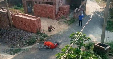 স্ত্রী’র লা’শ সাইকেলে চাপিয়ে শ্মশানে স্বামী!