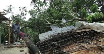 ঝিনাইদহে ঝড়ে লন্ডভন্ড অর্ধশত বাড়িঘর বিধ্বস্ত!