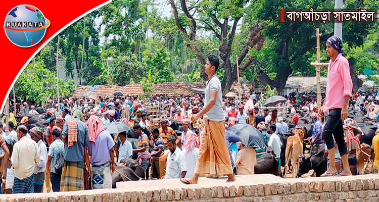 লোকে লোকারণ্য বাগআঁচড়া পশু হাট, স্বাস্থ্যবিধির বালাই নেই