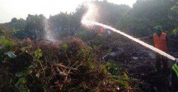 সুন্দরবনে ফের উড়ছে ধোঁয়া