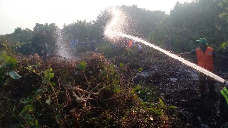 সুন্দরবনে ফের উড়ছে ধোঁয়া